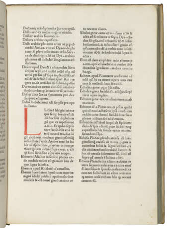 SIMON GENUENSIS (fl. 1288-1303) - фото 2