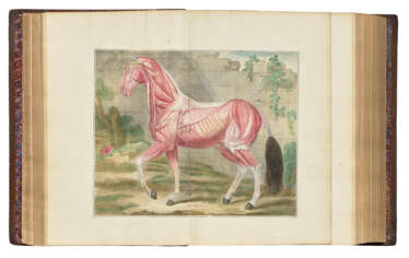 LAFOSSE, Philippe &#201;tienne (1738-1820)