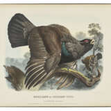 MEYER, Adolf Bernhard (1840-1911) - photo 1