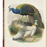 ELLIOT, Daniel Giraud (1835-1915) - фото 1