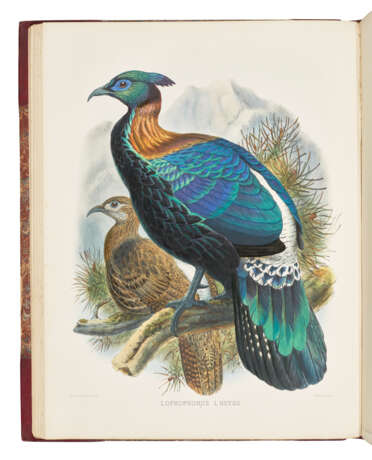 ELLIOT, Daniel Giraud (1835-1915) - фото 2