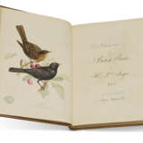 MEYER, Henry Leonard (1797-1864) - фото 1