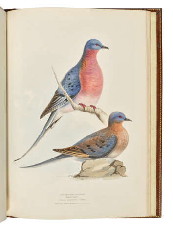 MEYER, Henry Leonard (1797-1864) - фото 3