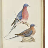 MEYER, Henry Leonard (1797-1864) - фото 3