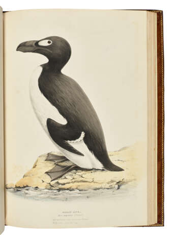 MEYER, Henry Leonard (1797-1864) - фото 4