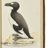 MEYER, Henry Leonard (1797-1864) - фото 4