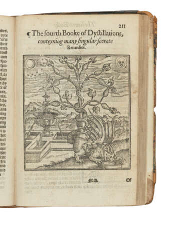 GESNER, Conrad (1516-1565) - фото 4