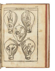 GUILLEMEAU, Jacques (1550-1613)