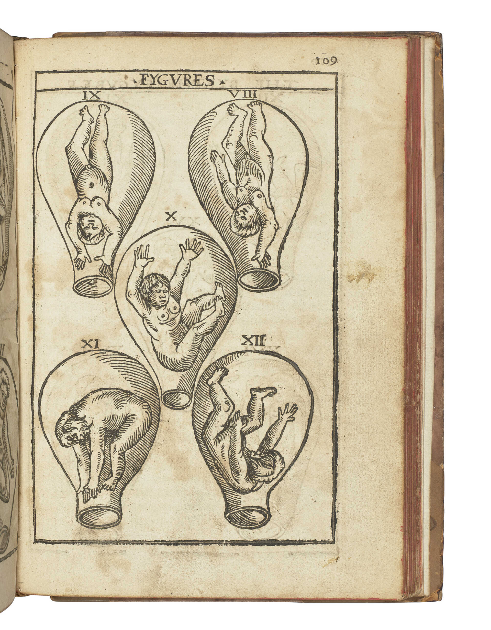 GUILLEMEAU, Jacques (1550-1613)