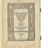 VIGO, Joannes de (fl. 1500) - photo 1