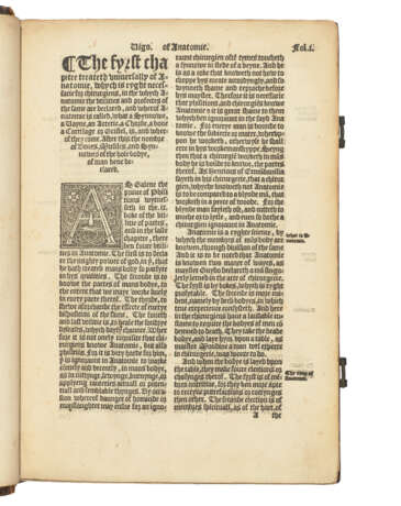 VIGO, Joannes de (fl. 1500) - photo 3