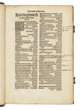 VIGO, Joannes de (fl. 1500) - photo 4