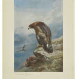 THORBURN, Archibald (1860-1935) - photo 1