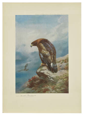 THORBURN, Archibald (1860-1935) - photo 1