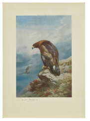 THORBURN, Archibald (1860-1935)