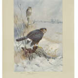 THORBURN, Archibald (1860-1935) - photo 3