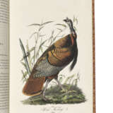 AUDUBON, John James (1785-1851) - photo 4