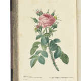 REDOUT&#201;, Pierre-Joseph (1759-1840) and Claude-Antoine THORY (1759-1827) - photo 2