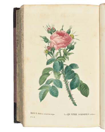 REDOUT&#201;, Pierre-Joseph (1759-1840) and Claude-Antoine THORY (1759-1827) - photo 2