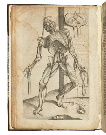 GEMINUS, Thomas (1510-1562) - фото 1