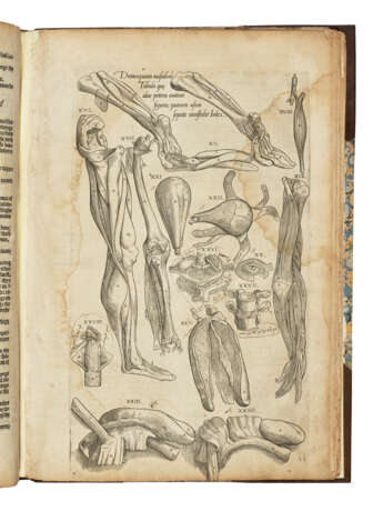 GEMINUS, Thomas (1510-1562) - фото 2