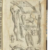 GEMINUS, Thomas (1510-1562) - фото 2