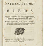 ALBIN, Eleazar (fl.1713-1559) - фото 3