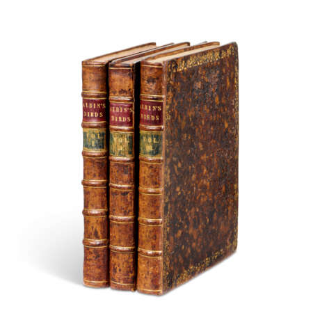 ALBIN, Eleazar (fl.1713-1559) - фото 4