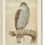 BRODRICK, William (1814-1888) - фото 1