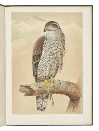 BRODRICK, William (1814-1888) - фото 1