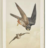 BRODRICK, William (1814-1888) - фото 2