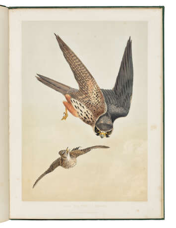 BRODRICK, William (1814-1888) - фото 2