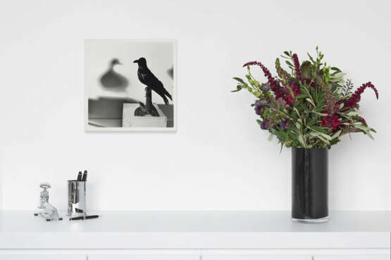 William Wegman. Duck - photo 3