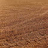 Boris Becker. Feld 1310 - photo 1