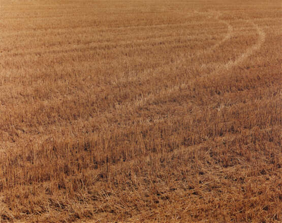 Boris Becker. Feld 1310 - photo 1