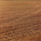 Boris Becker. Feld 1310 - photo 2