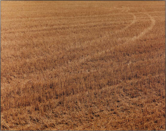 Boris Becker. Feld 1310 - photo 2