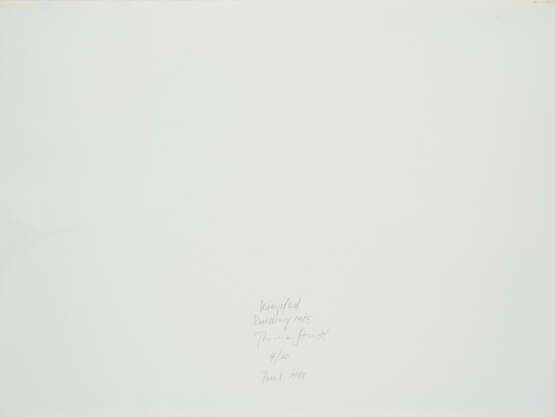 Thomas Struth. Kiespfad Duisburg 1985 - Foto 2