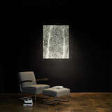 Jochen Lempert. Farn: Photosynthese 3 - photo 4