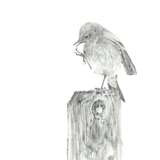 “Birdie” Paper Pencil Realist Animalistic 2019 - photo 1