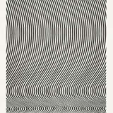 Bridget Louise Riley. Untitled (Work Drawing) - photo 5