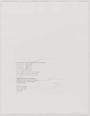 Richard Avedon. Dovima with Elephants - photo 3