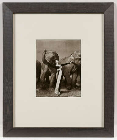 Richard Avedon. Dovima with Elephants - photo 4