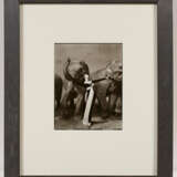 Richard Avedon. Dovima with Elephants - photo 4
