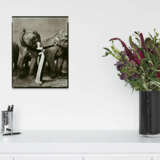Richard Avedon. Dovima with Elephants - photo 6