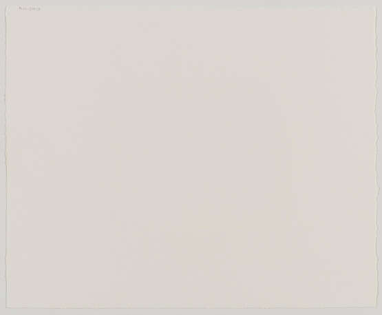 Robert Mapplethorpe. Tulips (Just to Thank You) - photo 3 Robert Mapplethorpe. Tulips (Just to Thank You) - photo 3