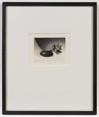 Robert Mapplethorpe. Tulips (Just to Thank You) - photo 4 Robert Mapplethorpe. Tulips (Just to Thank You) - photo 4
