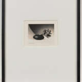 Robert Mapplethorpe. Tulips (Just to Thank You) - photo 4