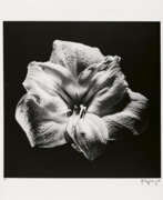 Robert Mapplethorpe. Robert Mapplethorpe. Flower