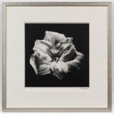 Robert Mapplethorpe. Flower - photo 4